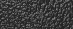 Metal Plaques Texture Leatherette