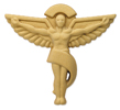 Chiropractic Sign Symbol